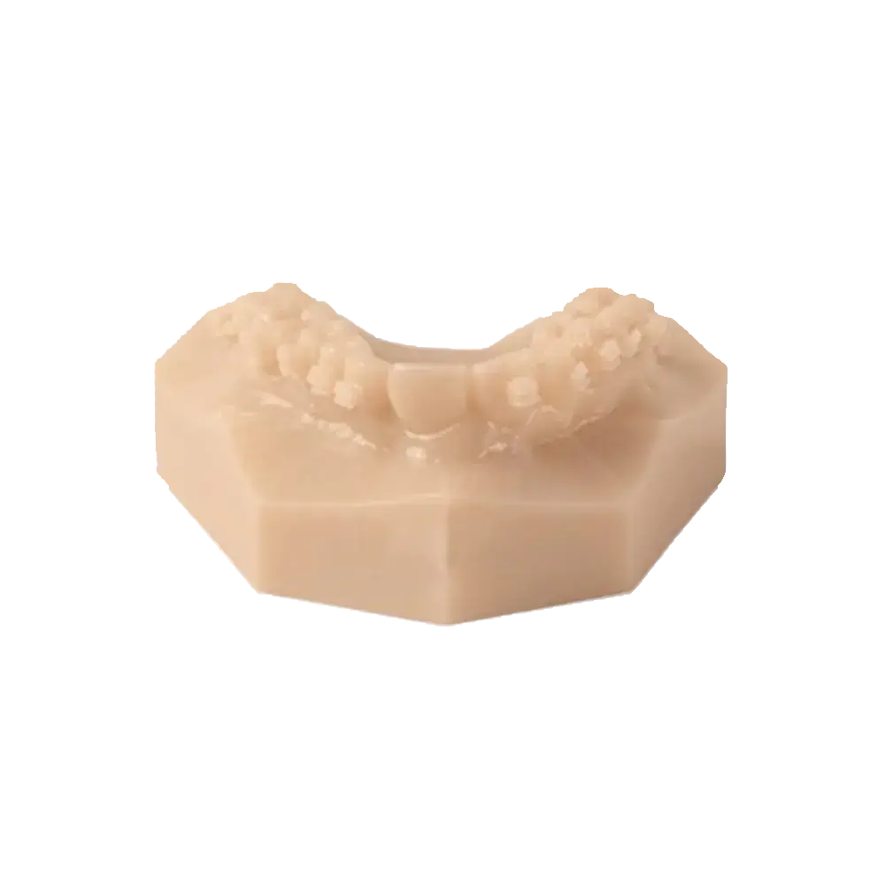 3D printed dental model in dark beige using VeroDentPlus MED690 material