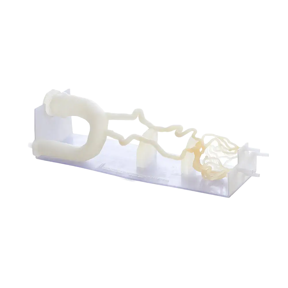 Flexible 3D printed vascular model made with GelMatrix material