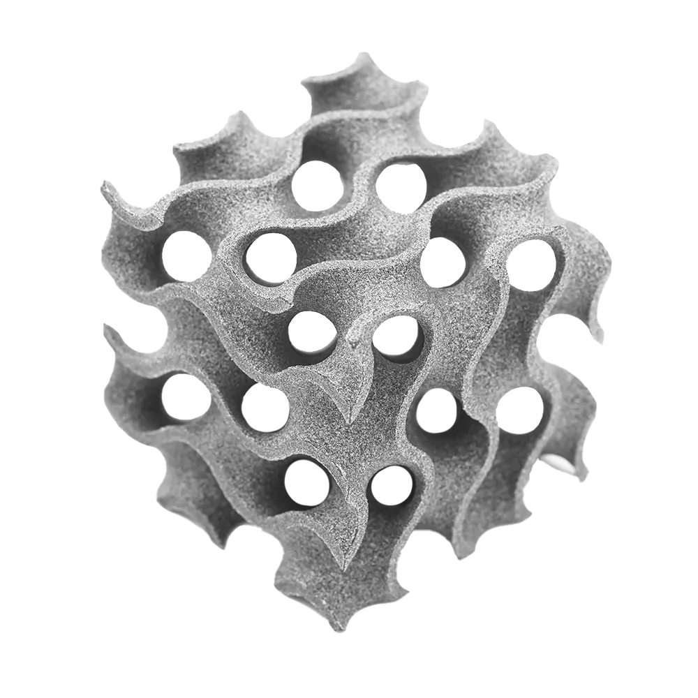 SAF PA11 lightweight 3D lattice structure
