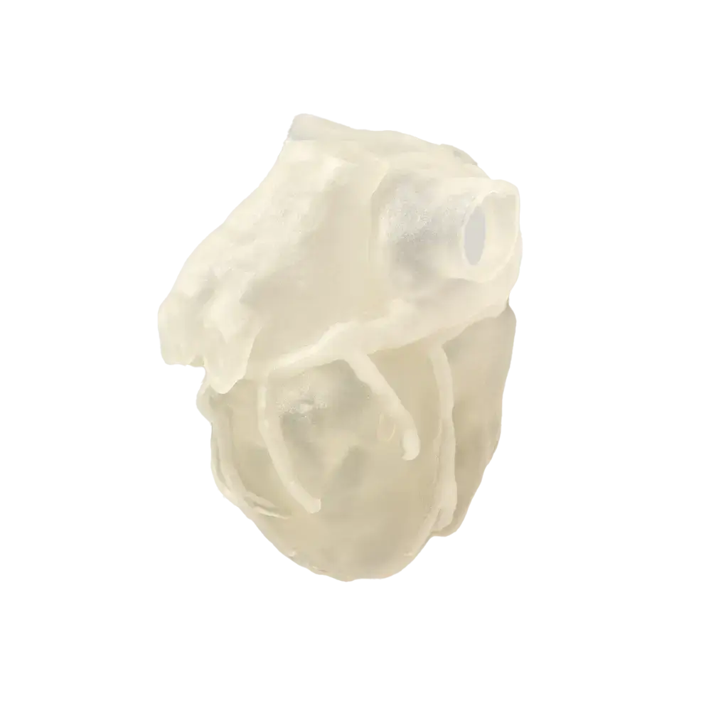 TissueMatrix ultra-soft PolyJet material for 3D printed organ models