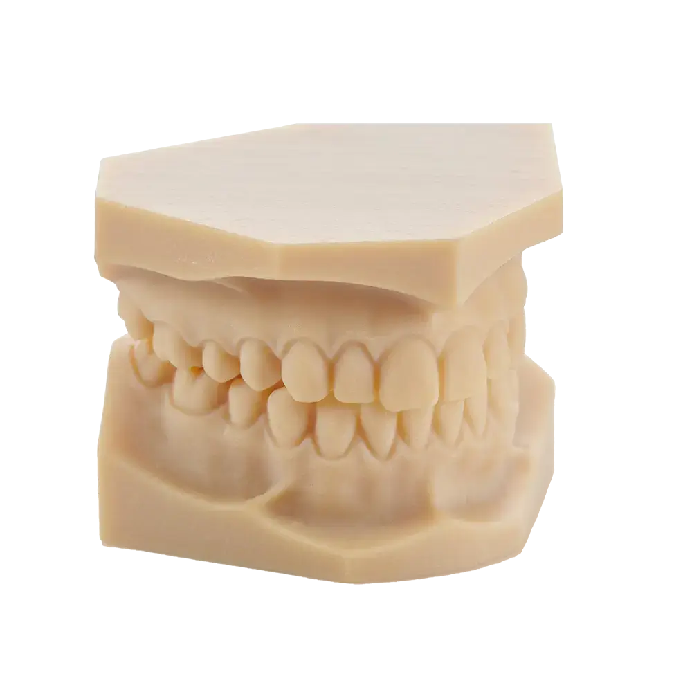3D printed dental model using VeroDent MED670 rigid peach-tone material